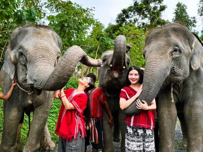 Phuket : Experience feeding and bathing elephants 1.5 Hrs. - Photos and the elephant-dung frame add-on