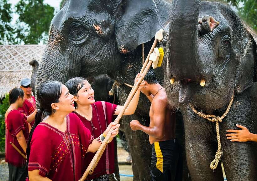 Phuket : Experience feeding and bathing elephants 1.5 Hrs. - What to bring, what to wear, and what not to do