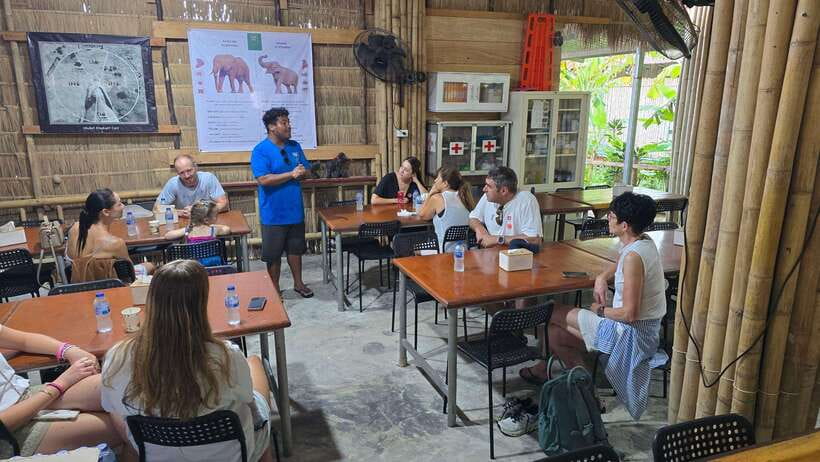 Phuket: Feeding Elephants at Phuket Elephant Care - Key highlights at Phuket Elephant Care