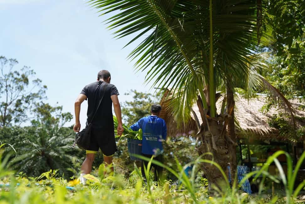 Phuket: Guided Tour to Elephant Sanctuary & Hotel Transfer - Feeding Rice Balls with Mahouts: A Hands-On Experience That’s Also Controlled