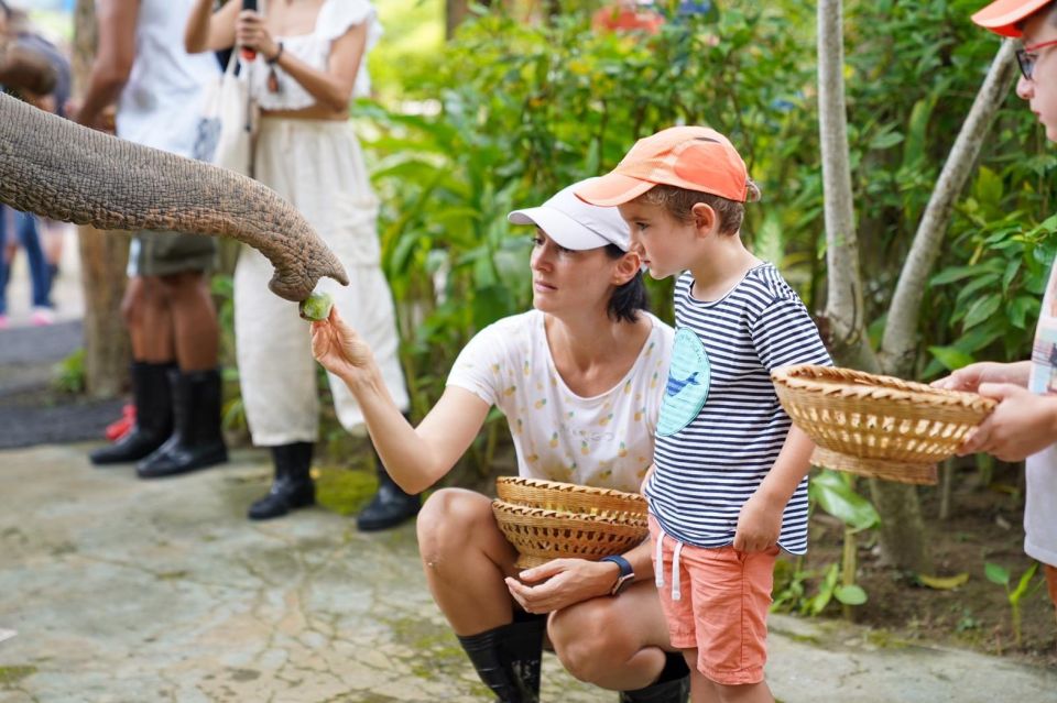 Phuket: Guided Tour to Elephant Sanctuary & Hotel Transfer - Timing, Group Size, and Why the Tour Can Feel Short (or Longer)