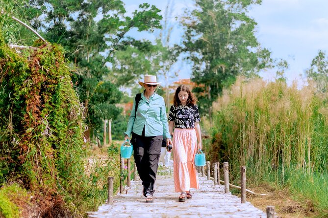 Phuket Guided Tour to Elephant Sanctuary with Hotel Transfers - From Your Hotel to the Forest Home: Transfers, Timing, and Practical Flow