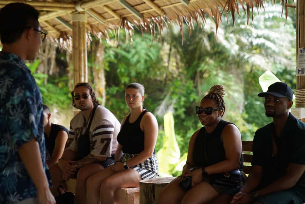 Phuket : Guided Tour to Elephant Sanctuary with Transfers - Getting to the hill tribe elephant village (and why timing matters)