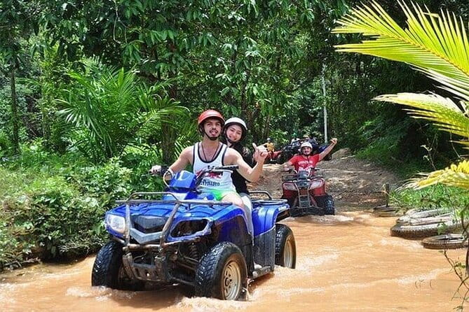 Phuket: Half Day Khai Islands by Speedboat - Koh Khai Nai: Cats on the Sand and a Softer Landing