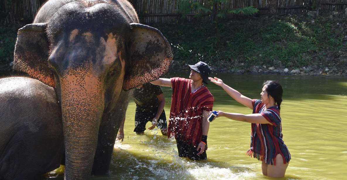 Phuket: Half Day or 2-Hour Ethical Elephant Care Sanctuary - Price and value: is $36 fair for what you get?