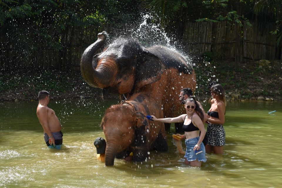 Phuket: Half Day or 2-Hour Ethical Elephant Care Sanctuary - Nai Dee Elephant Care Park: what makes it feel different