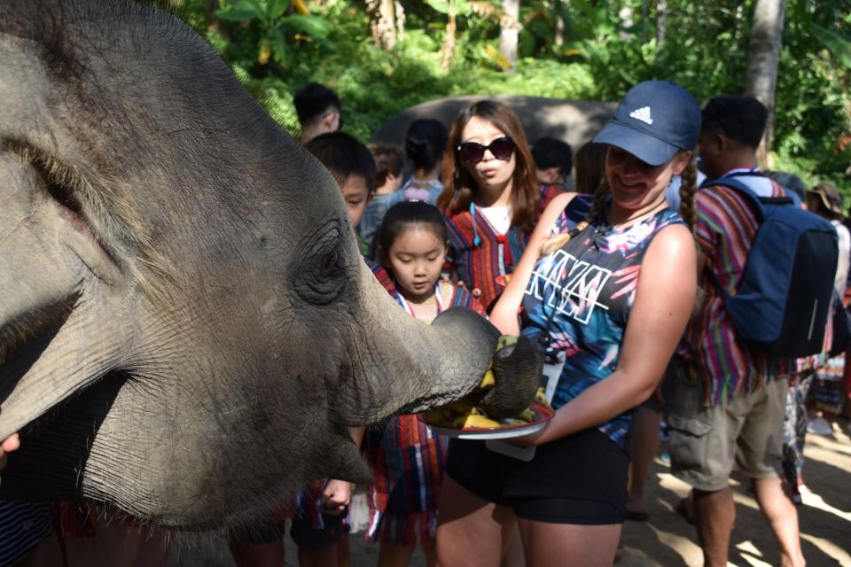 Phuket: Half Day or 2-Hour Ethical Elephant Care Sanctuary - Before the elephants: getting set up for a hands-on day