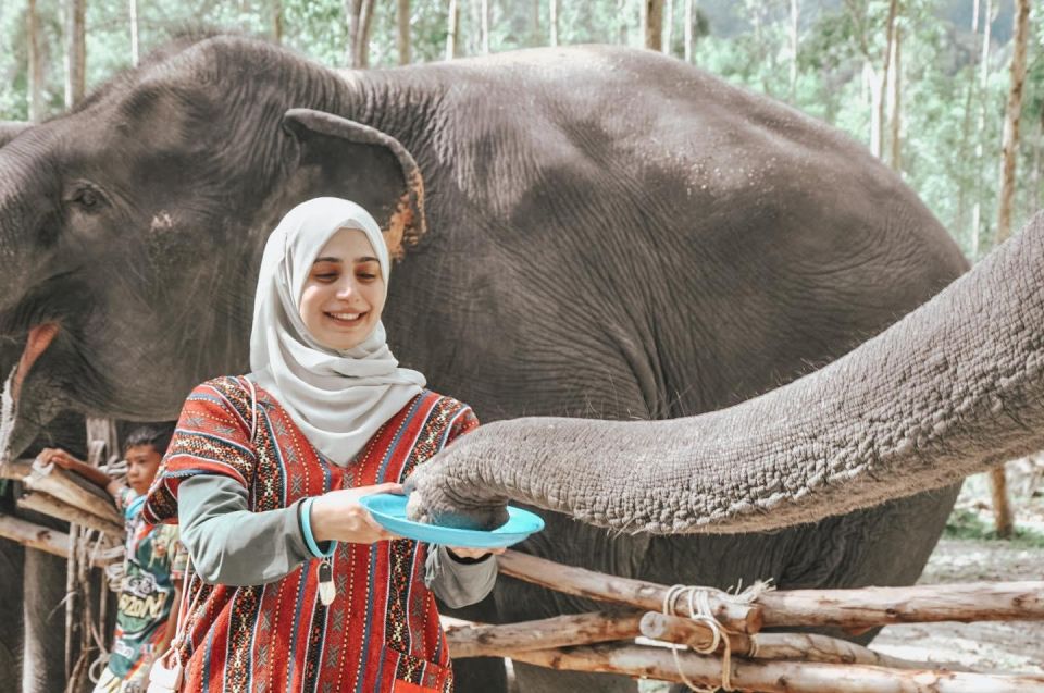 Phuket: Half Day or 2-Hour Ethical Elephant Care Sanctuary - Feeding time: making food and learning elephant behavior