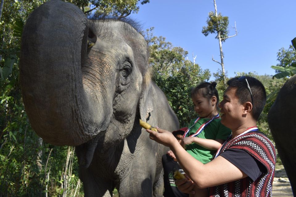 Phuket: Half Day or 2-Hour Ethical Elephant Care Sanctuary - The Thai cooking class and meals: a real break, not an add-on