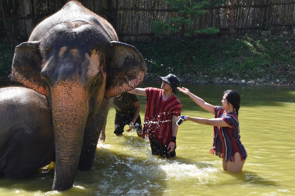 Phuket: Half Day or 2-Hour Ethical Elephant Care Sanctuary - Photos you don’t have to think about