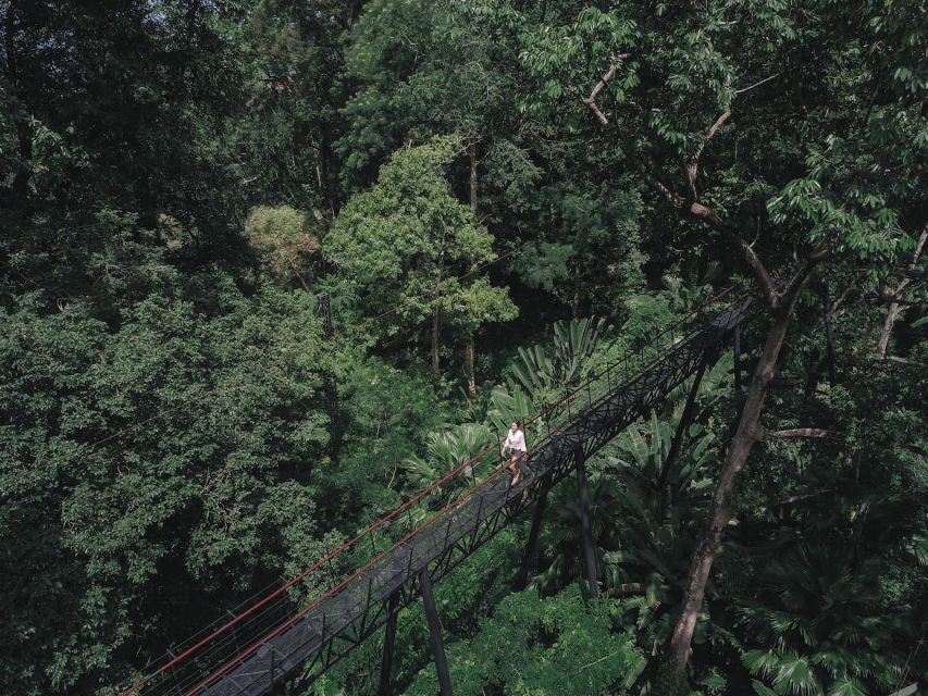 Phuket: Hanuman World Zip Line Adventure - Safety Is Not a Slogan Here: Gear, Briefings, and a Controlled Flow