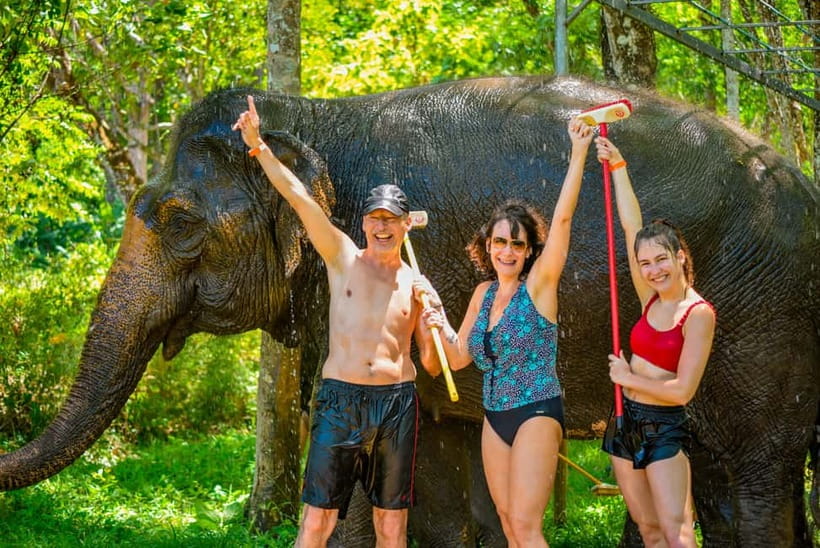 Phuket: Happy Hour Feed and Rain Shower with Elephant - Phuket elephant care at 2:30 PM: why this timing works