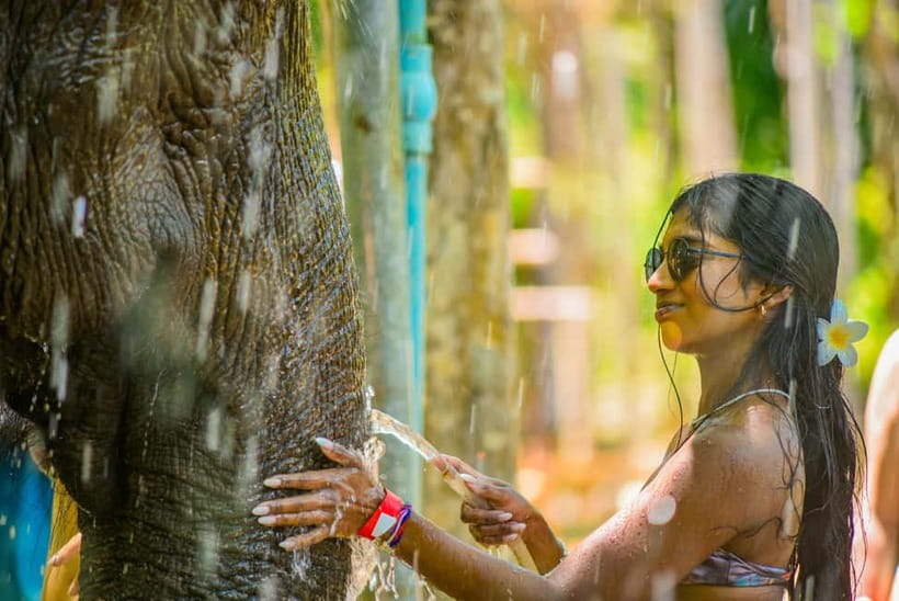Phuket: Happy Hour Feed and Rain Shower with Elephant - What the program actually includes (and what it skips)