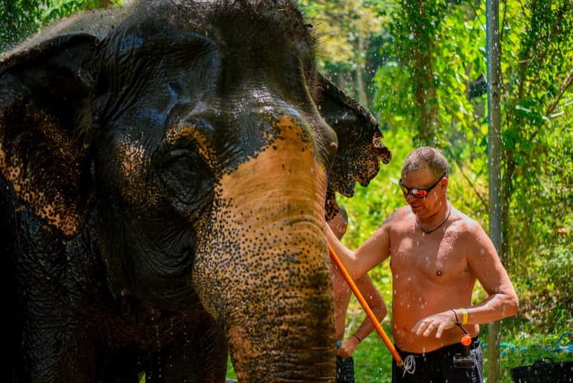 Phuket: Happy Hour Feed and Rain Shower with Elephant - Step-by-step: what you’ll do during the happy hour