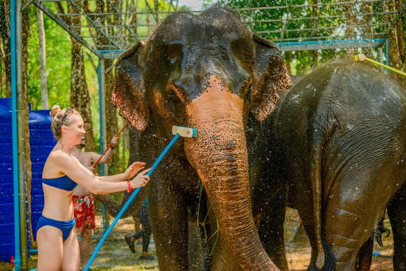 Phuket: Happy Hour Feed and Rain Shower with Elephant - The “no riding” decision: what it means for your experience