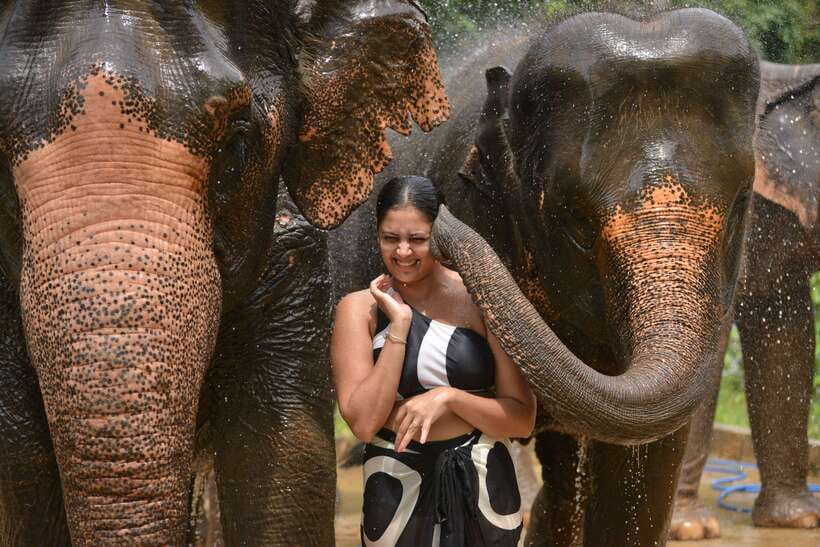 Phuket: Happy Hour Feed and Rain Shower with Elephant - Finding your vibe: who this elephant happy hour suits best