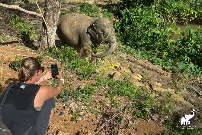 Phuket: Hidden Forest Elephant Reserve Guided Tour with Lunch - Lunch break: vegetarian Thai buffet with elephant pond moments