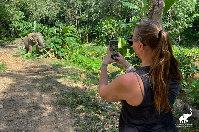 Phuket: Hidden Forest Elephant Reserve Guided Tour with Lunch - The intro video, refreshments, and the feeding moment