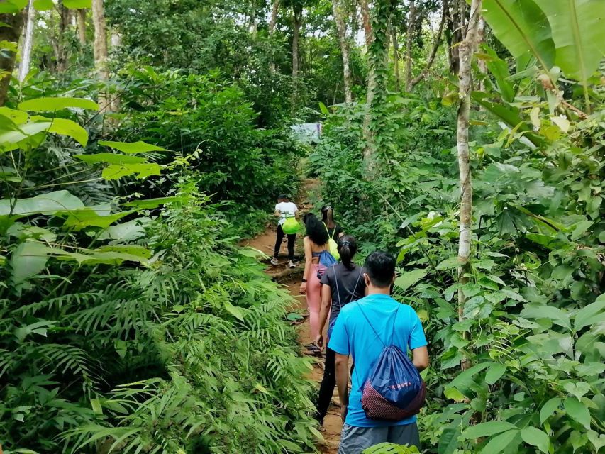 Phuket: Hiking to Sunrise - Should you book Phuket: Hiking to Sunrise?