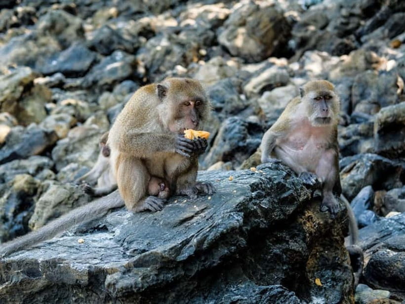 Phuket: James Bond Island Sea Canoe with lunch by Big Boat - Cave-area paddling and the “switch from cruise to close-up nature” feeling
