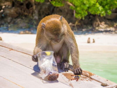 Phuket: James Bond Island Sea Canoe with lunch by Big Boat - Hong Island canoe time: where the guide matters