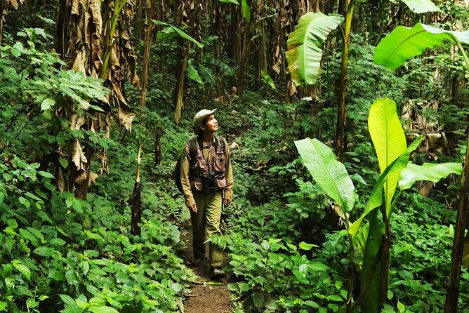 Phuket Jungle Trekking Experience at Khao Phra Taew National Park - Key things I’d plan around before you go