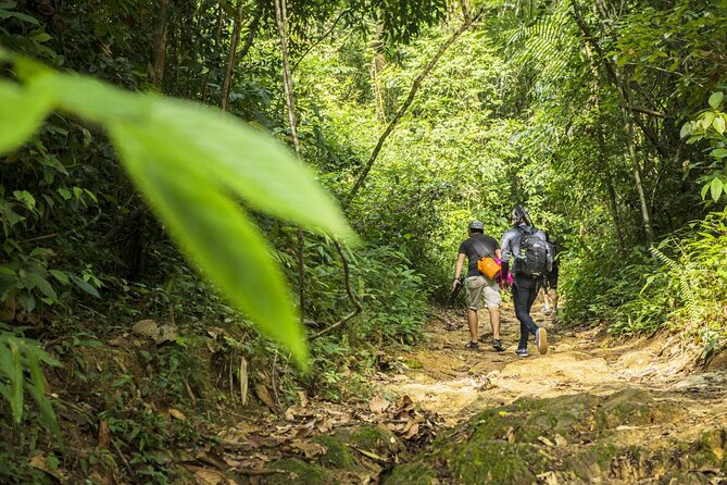 Phuket Jungle Trekking Experience at Khao Phra Taew National Park - Khao Phra Taew at 7:30 AM: why this trek feels different