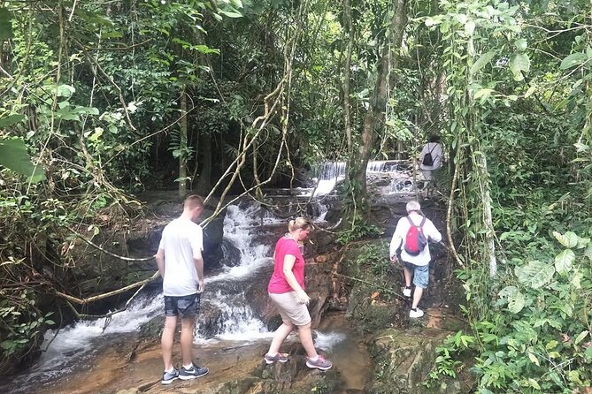 Phuket Jungle Trekking Experience at Khao Phra Taew National Park - The 6-hour plan: from rainforest trails to Tonsai waterfall rinse