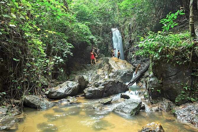 Phuket Jungle Trekking Experience at Khao Phra Taew National Park - Wildlife spotting with a guide: what to expect (and what to respect)