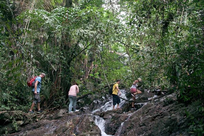 Phuket Jungle Trekking Experience at Khao Phra Taew National Park - How hard is it, and what should you wear?