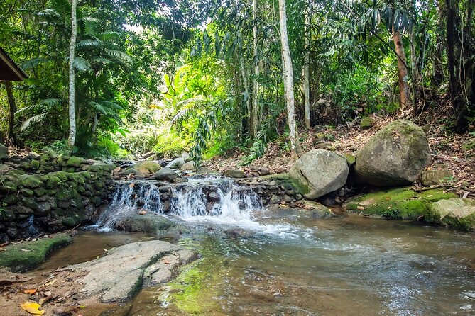 Phuket Jungle Trekking Experience at Khao Phra Taew National Park - Weather and route changes: plan for flexibility