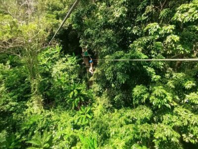 Phuket: Jungle Xtrem Adventures and Zipline Park - Choosing Your Course: Beginner, Intermediate, and Advanced Numbers That Matter