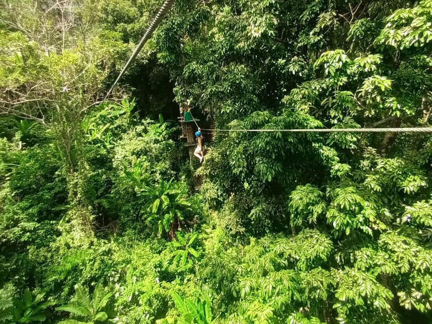 Phuket: Jungle Xtrem Adventures and Zipline Park - Choosing Your Course: Beginner, Intermediate, and Advanced Numbers That Matter