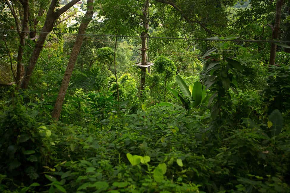 Phuket: Jungle Xtreme Adventure Park Entry Ticket - Jungle scenery and obstacle variety between the ziplines