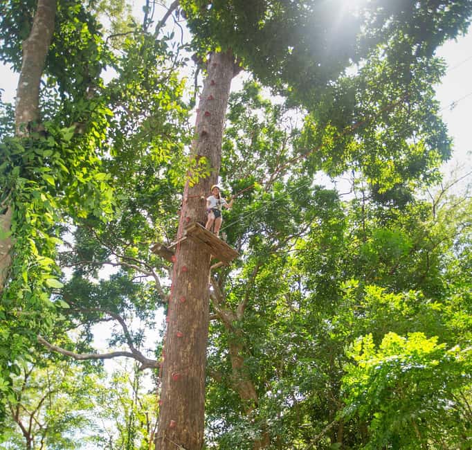 Phuket: Jungle Xtreme Adventure Park Entry Ticket - Free-Fall Jump: what it adds and when to skip it