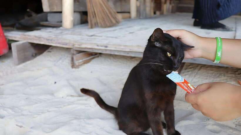 Phuket: Khai Nok, Khai Nai, and Khai Nui Island Day Trip - Key things to know before you go