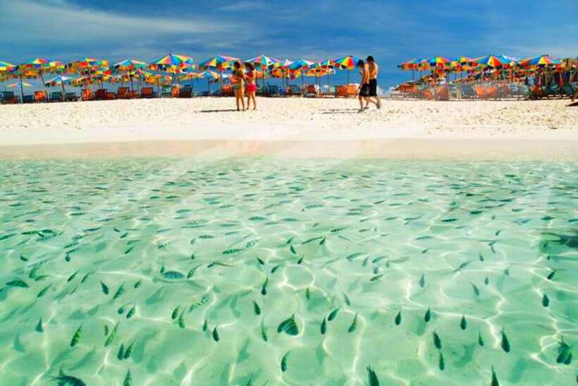 Phuket: Khai Nok, Khai Nai, and Khai Nui Island Day Trip - Khai Nai: the cat-feeding beach break and how to make it count