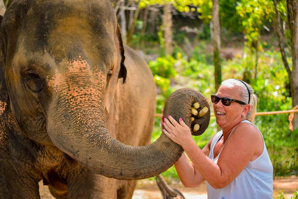 Phuket: Make & Meet The Gentle Giant Experience - Key things to know before you go