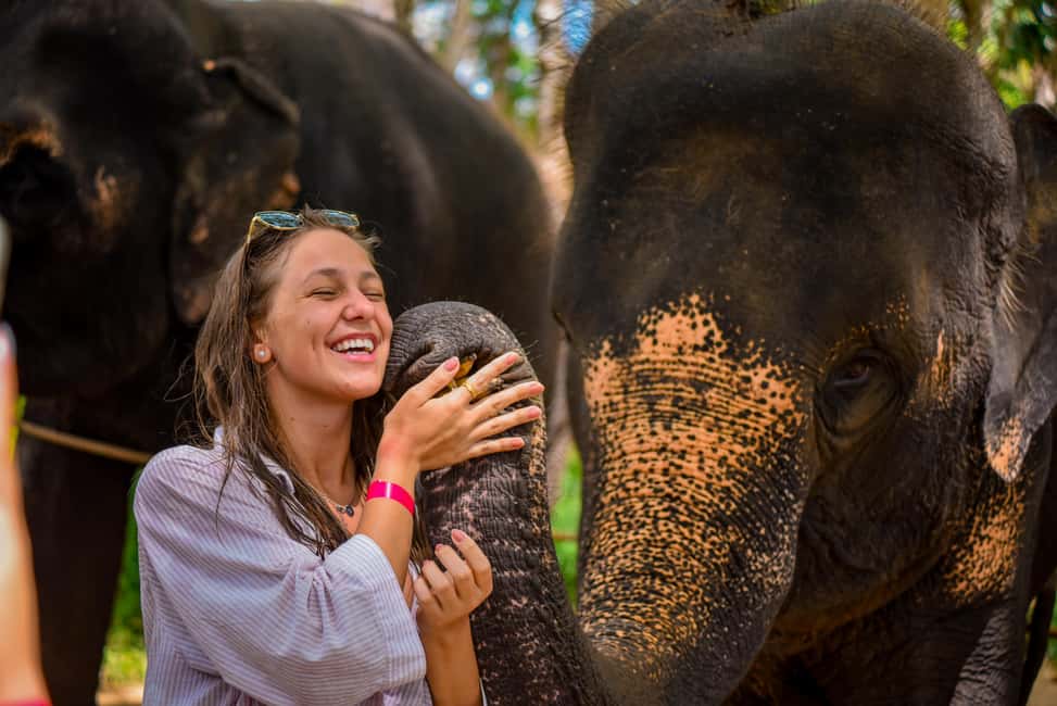Phuket: Make & Meet The Gentle Giant Experience - Who this experience suits best (and who might want alternatives)