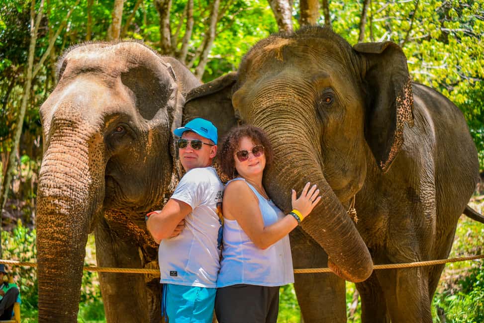 Phuket: Make & Meet The Gentle Giant Experience - Why vitamin balls are the main event at Lily Elephant Camp