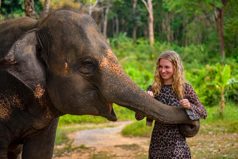 Phuket: Make & Meet The Gentle Giant Experience - Rolling sticky rice, banana, and tamarind into elephant vitamin balls