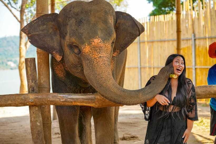 Phuket: Make & Meet The Gentle Giant Experience - Support and ethics: what the experience signals through its structure