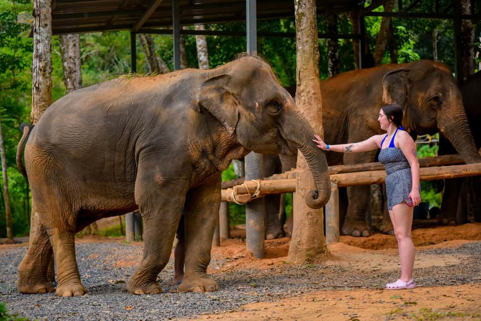 Phuket: Make & Meet The Gentle Giant Experience - What to bring for Phuket heat, plus what’s already provided