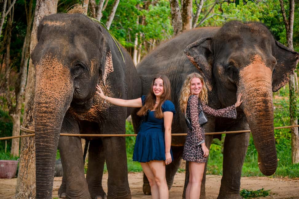 Phuket: Make & Meet The Gentle Giant Experience - Getting to Phuket’s Lily Elephant Camp (and how the day flows)