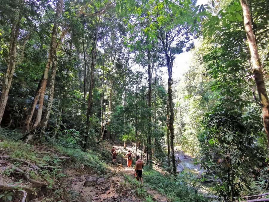 Phuket: Monkey Cave, Water Rafting, Zipline with ATV Option - Zipline over the forest: one 150-meter run (and why height expectations matter)