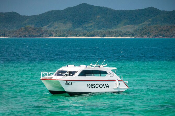 Phuket: Phang Nga Bay Bioluminescent Plankton and Sea Canoes tour - The Bioluminescent Plankton Moment: How to Maximize Your Chances