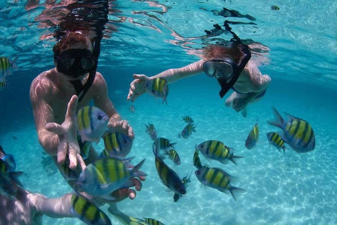 PHUKET-Phi Phi Island-Khai Island-Lunch by Sea Angel Speed Boat - Who should book this Sea Angel Phi Phi–Khai day?