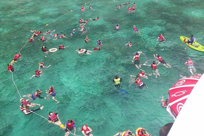 PHUKET-Phi Phi Island-Khai Island-Lunch by Sea Angel Speed Boat - Maya Bay on a speedboat day: how to enjoy it without rushing