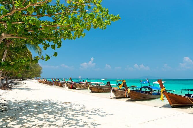Phuket Private Speed Boat Tours - Shark Point Snorkeling: Leopard Sharks and Clear Water