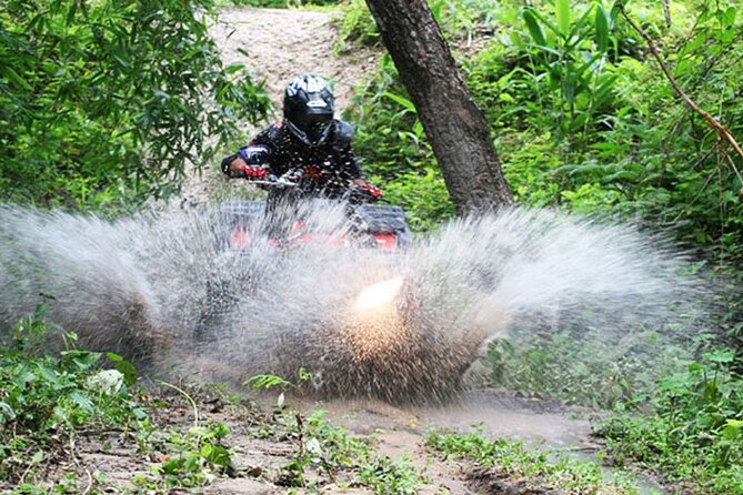 Phuket Rafting ATVing Flying Fox Full Day Activities By VIP Mini Van - Lunch Box Set by the River: Halal and Vegan Notes